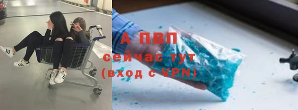 мдпв Кулебаки