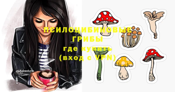 СК Заволжск
